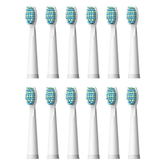 Tête de rechange de votre brosse à dents électrique | Eorom
